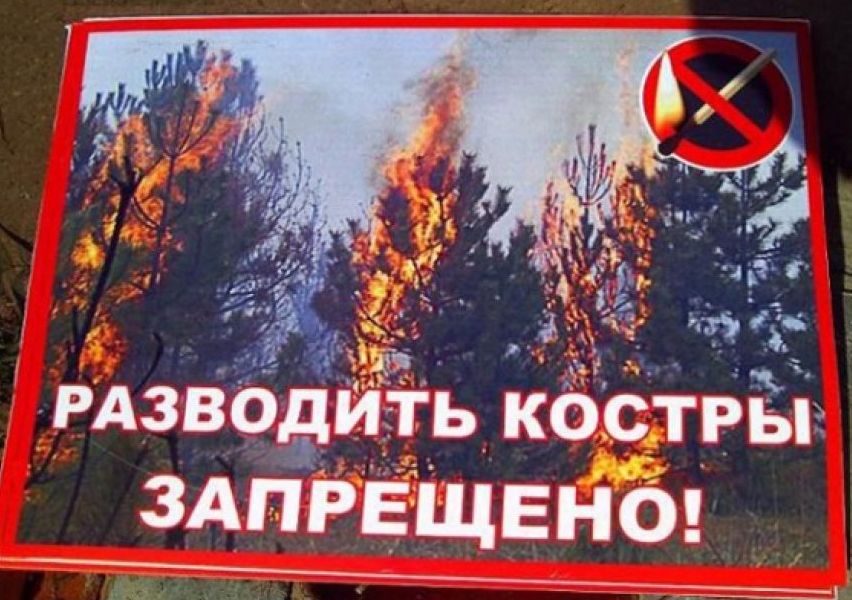 Запрещается разведение костров. Запрещено разводить костры. Запрещено разжигать костры. Разведение костров запрещено. Противопожарные аншлаги в лесу.